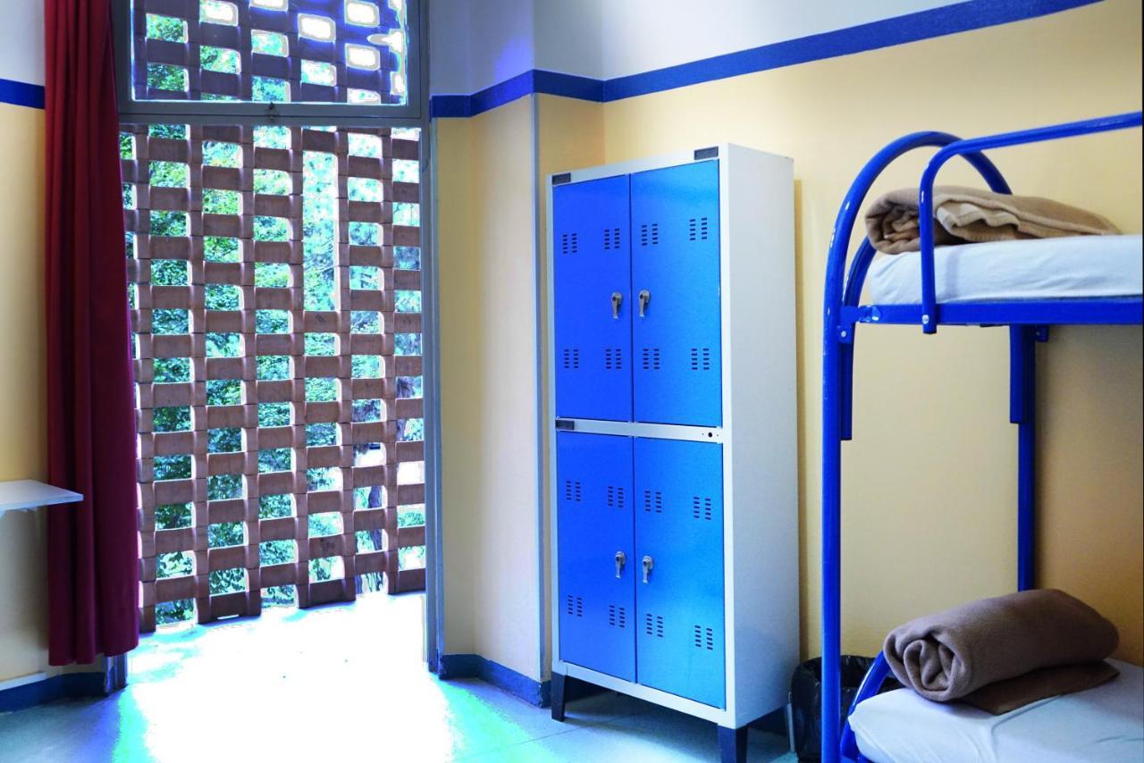 Bed 6-Bed Female Dormitory Room