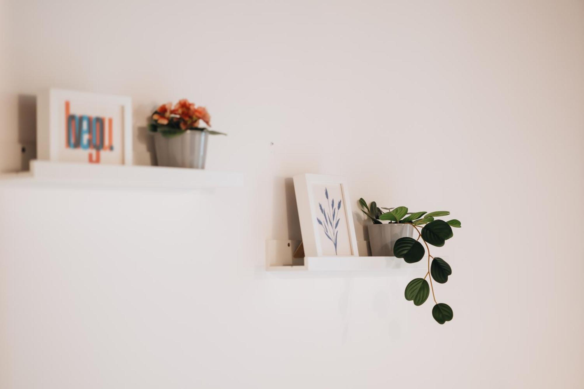 One-Bedroom Apartment with Balcony,1501138216:JPEG