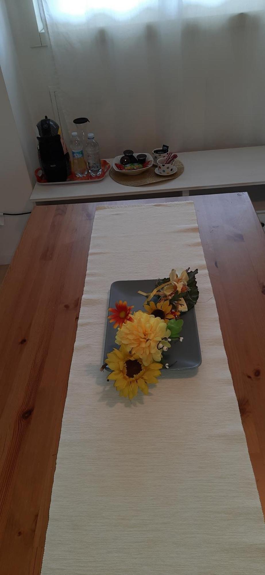 Apartamento Estudio - 1 cama doble