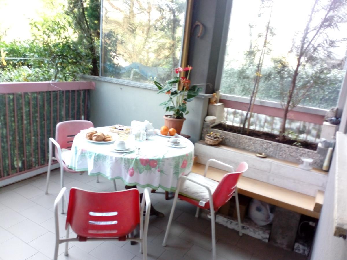 King Room Garden View