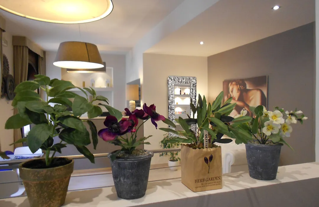 Hotel Ares Milano-1