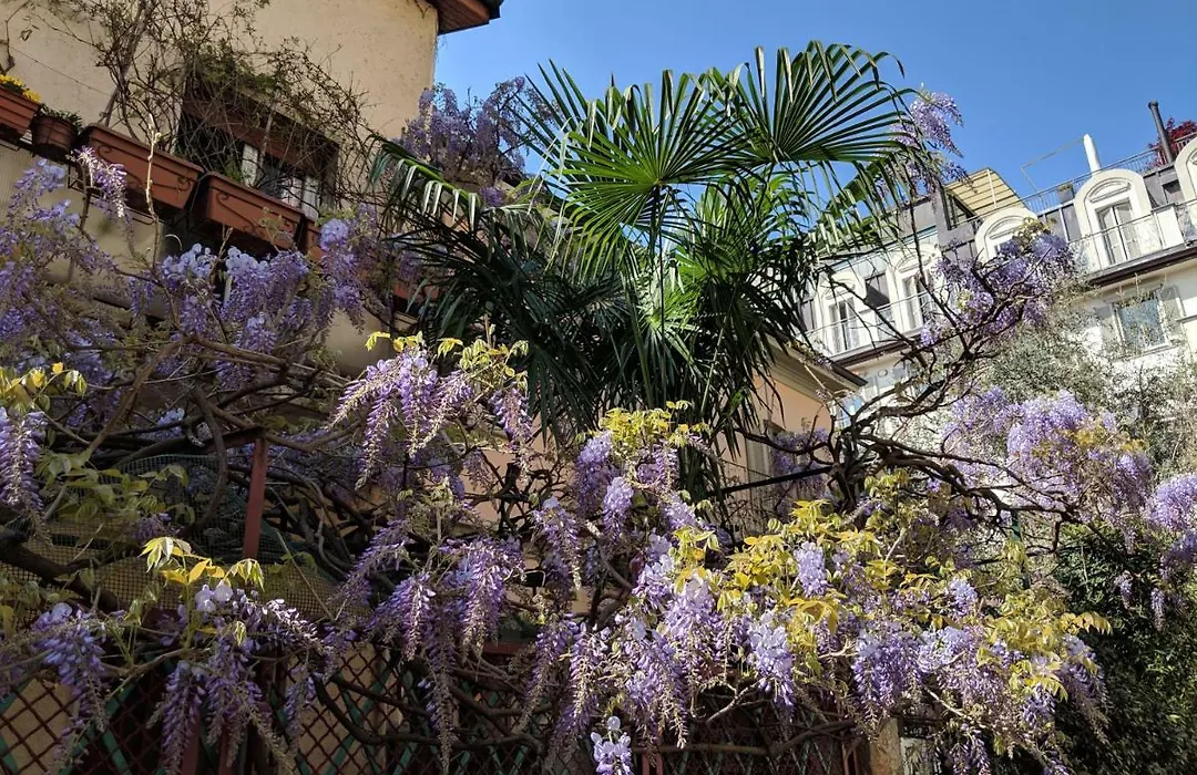 Casa Glicine-1