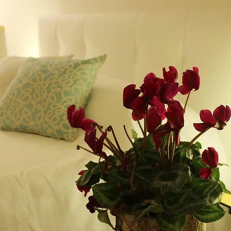 Repubblica One Room Apartment-3