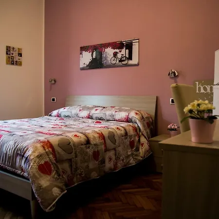 B&B Zara-2